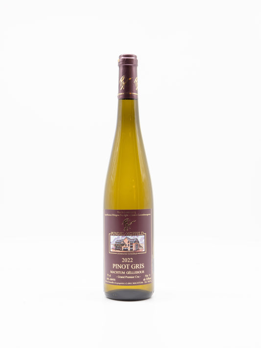 Pundel-Hoffeld Pinot Gris 2022 Machtum Gëllebour GPC