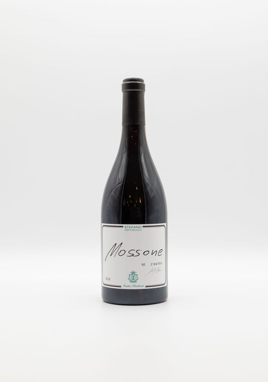 Mossone Merlot Marche IGT 2018 Santa Barbara