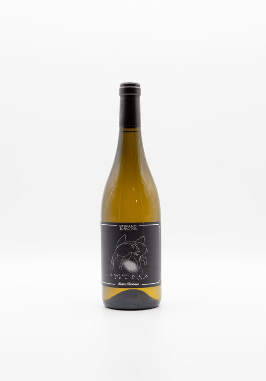 Animale Celeste Sauvignon 2018 Santa Barbara Marche